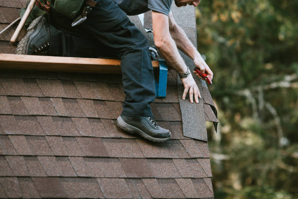 Best Roof Gutter Cleaning  in Arlington, TN